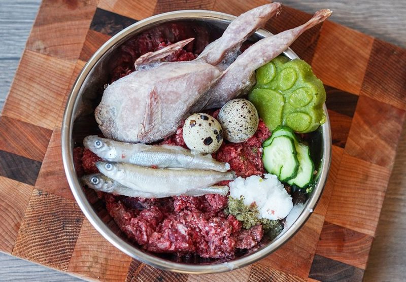 repas complet de viande crue dans une gamelle posée sur une planche de bois